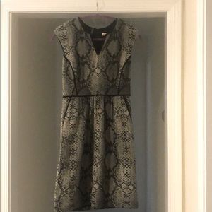 Rebecca Taylor snake print dress.